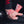 Man lifts the barbell using Red Weight Lifting Wrist Straps V1