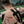 Kinesiology Tape